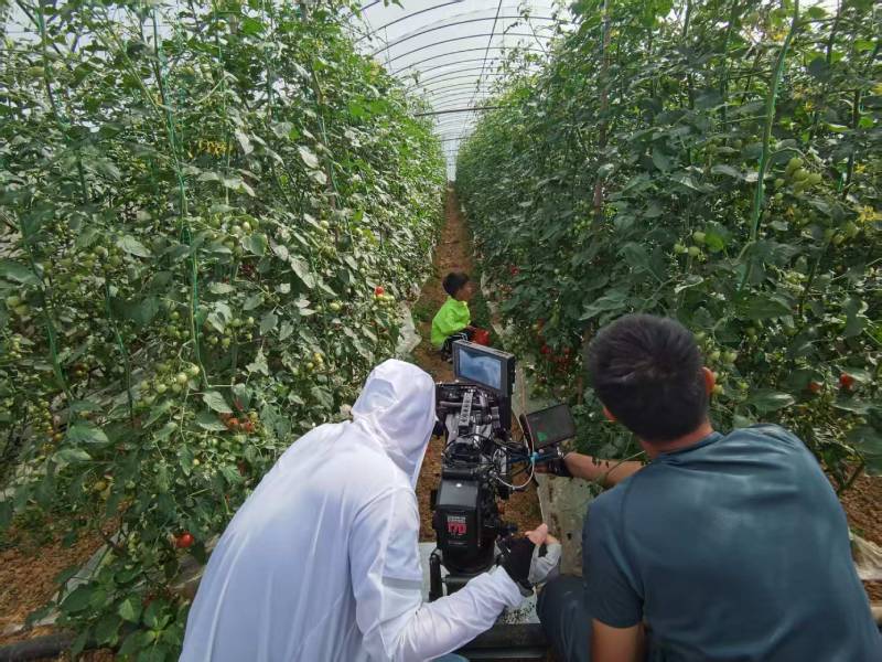 高青县产品宣传视频拍摄公司进阶指南，助力品牌抢占传播高地